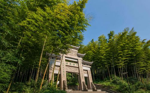 茶山竹海